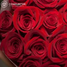 Красные розы Freedom 70 см