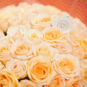 Кремовые розы Tiffany 60 см