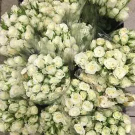 Кустовая роза микс