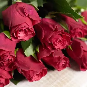 Малиновые розы 40 см Premium