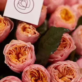 Пионовидные розы Vuvuzela 40 см