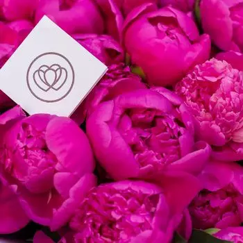 Пионы ярко-розовые