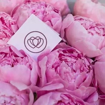 Пионы розовые