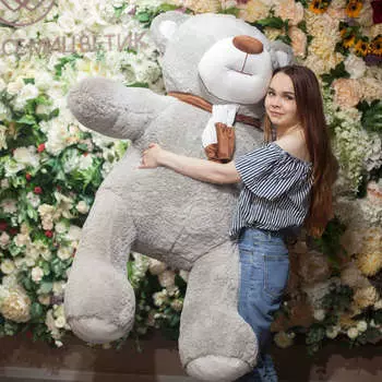 Плюшевый Мишка Барри Серый 170 см