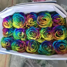 Радужные розы