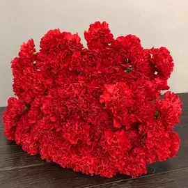 Россыпь гвоздика одноголовая красная