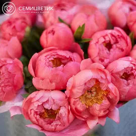 Россыпь Пион Premium Коралловый