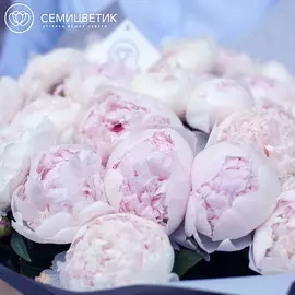 Россыпь Пион Premium Нежно-розовый