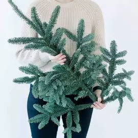 Россыпь Ветка еловая Нобилис