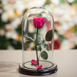 Роза в колбе 28 см (Ярко-розовая)