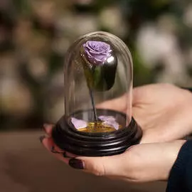 Роза в Колбе H12 * D9 Лайт вайолет (сиреневая)