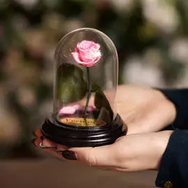 Роза в Колбе H12 * D9 Пинк (розовая)