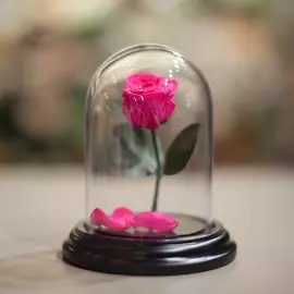 Роза в Колбе H12 * D9 Шокин пинк (ярко-розовая)