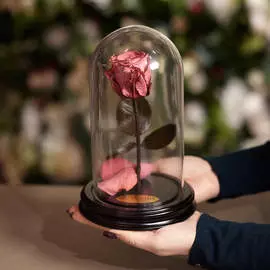 Роза в Колбе H22 * D13 Фламинго (темно-розовая)