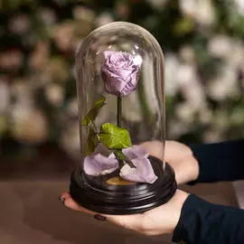 Роза в Колбе H22 * D13 Лайт Виолет