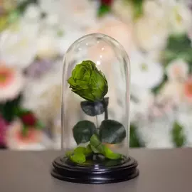 Роза в Колбе H22 * D13 Олив грин (зеленая)