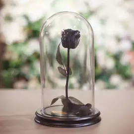 Роза в Колбе H28 * D16 Черная