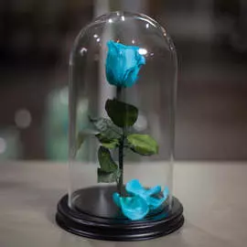 Роза в Колбе H28 * D16 Тиффани (бирюзовая)