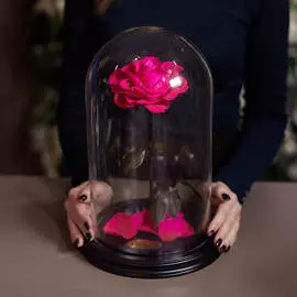 Роза в Колбе H33 * D20 Шокин пинк (ярко-розовая)