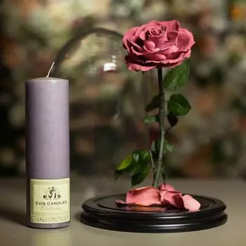 Роза в Колбе H33 * D20 Тёмно-розовая