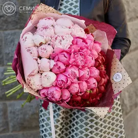 Розово-бордовый букет-градиент из 49 пионов Premium