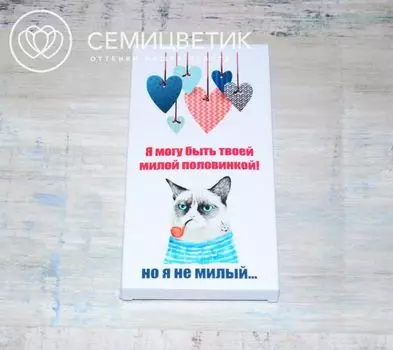 ШокоБар Шоколад "Милая половинка" 100 гр.