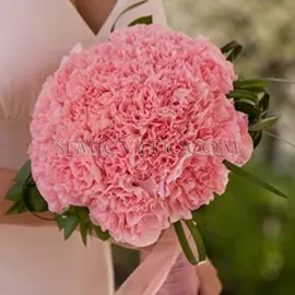 Свадебный букет из гвоздик