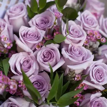 Светло-сиреневые розы Ocean Song 50 см