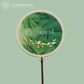Топпер Семицветик «Скучаю»