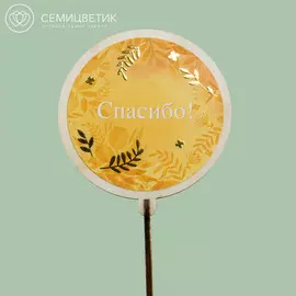 Топпер Семицветик «Спасибо»