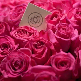 Ярко-розовые розы Topaz 60 см