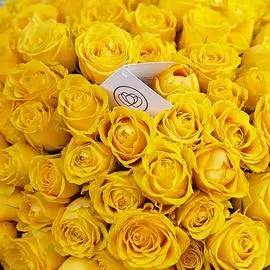 Желтые розы 40 см Premium