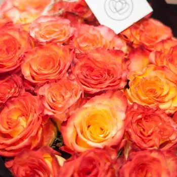 Желтые розы с красной каймой High Magic 50 см