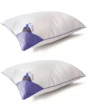 Подушка Lavanda, 2 шт. Sogni Soffici