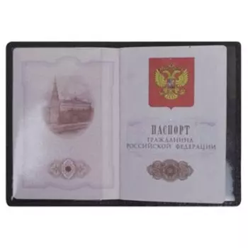 Обложка для паспорта, цвет чёрный