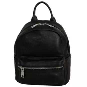 1204 Рюкзак Emily, отдел на молнии, цвет Черный 21х25х10см