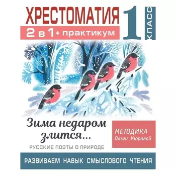 1 класс. Хрестоматия. 2 в 1 + практикум. Зима недаром злится. Русские поэты о природе. Развиваем навык смыслового чтения. Зима недаром злится