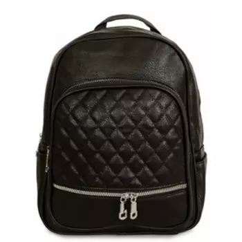 3008 Рюкзак Safina, отдел на молнии, цвет Черный 27х36х14см