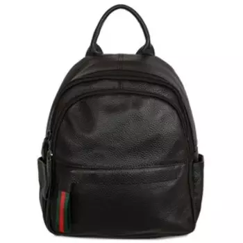 335 Рюкзак, 2 отдела на молнии, цвет черный 24х31х11см