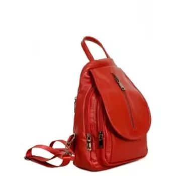 338 Рюкзак, отдел на молнии, цвет красный 22х31х13см