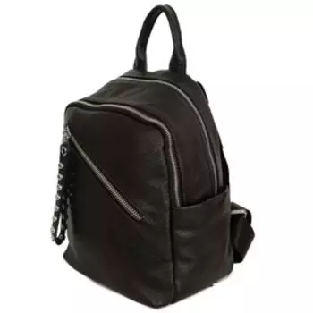 678 Рюкзак, 2 отдела на молнии, цвет черный 27х31х12см