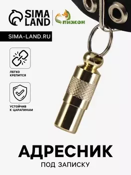 Адресник-капсула под записку, 0.92.75 см, золотой