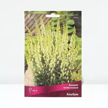 Аконит клобучковый Альбум, корневище в торфогрунте, р-р I, 1 шт.