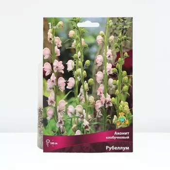 Аконит клобучковый Рубеллум, корневище в торфогрунте, р-р I, 1 шт.