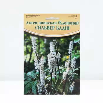 Актея "Silver Blush", р-р I, 1 шт, Весна 2024