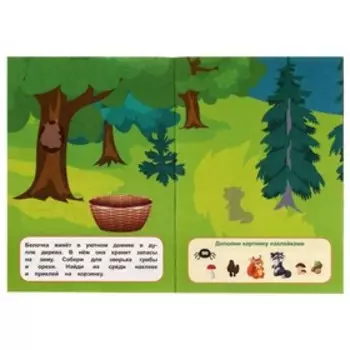 Активити А5 с многоразовыми наклейками «Лесной квест»
