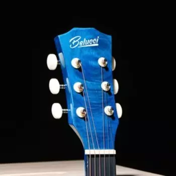 Акустическая гитара Belucci BC3840 1349 (Skelet)
