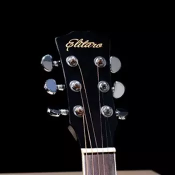 Акустическая гитара Elitaro E4010 BK
