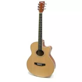 Акустическая гитара Homage LF-401C-N