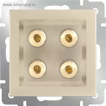 Акустическая розетка WL11-AUDIOx4, цвет шампань